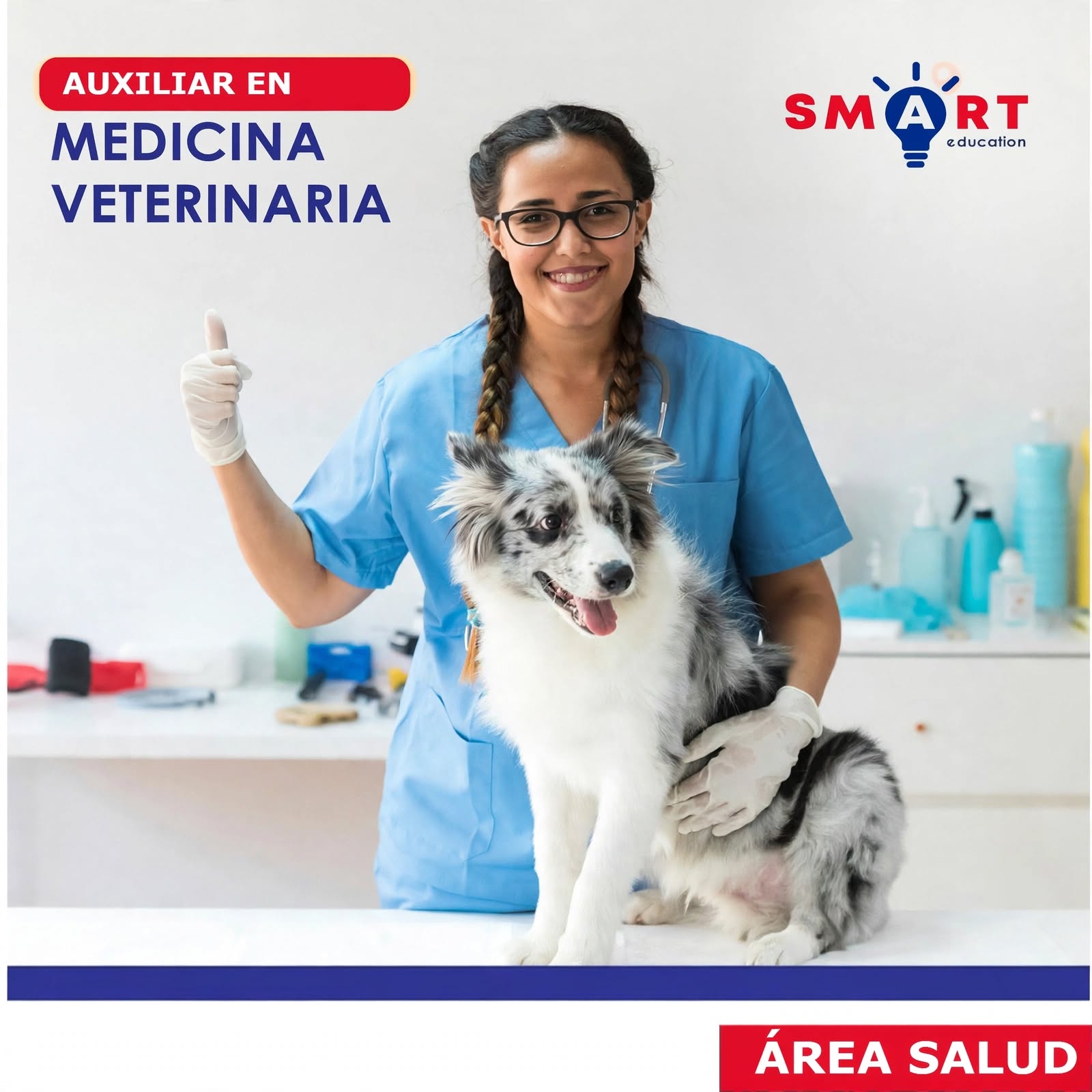 Auxiliar en Medicina Veterinaria